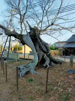 三輪神社(奈良県)