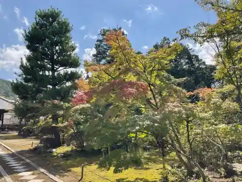 法界寺(日野薬師)の庭園