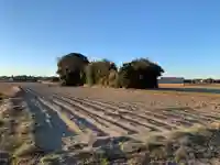 熊野神社(千葉県)