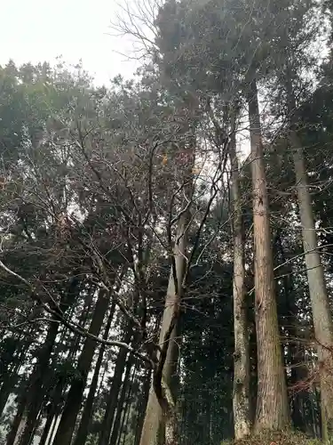 大宮温泉神社(栃木県)