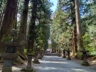 北口本宮冨士浅間神社(山梨県)