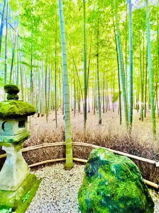 報国寺(神奈川県)