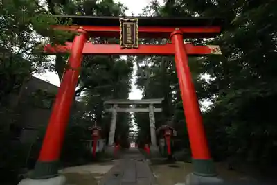馬橋稲荷神社の鳥居