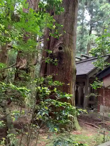 赤城神社(三夜沢町)(群馬県)