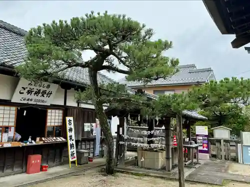 唐崎神社の建物その他