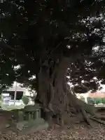 十二神社(千葉県)