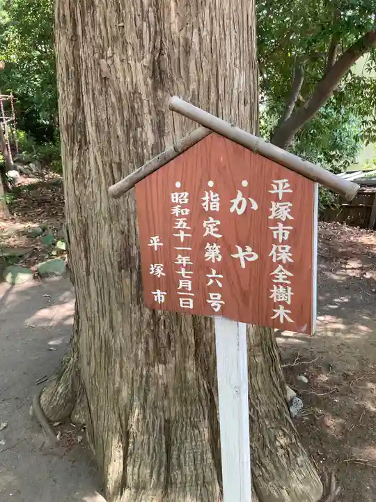 日枝神社の自然