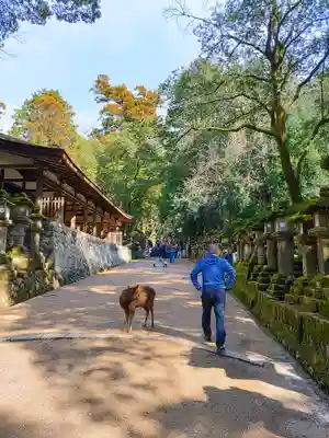 春日大社のその他建物