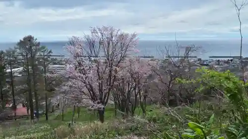 虻田神社の景色