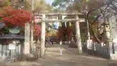 富部神社(愛知県)