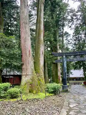 日光東照宮御仮殿の鳥居