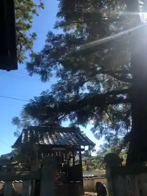 御坂神社(兵庫県)