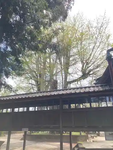 野木神社(栃木県)