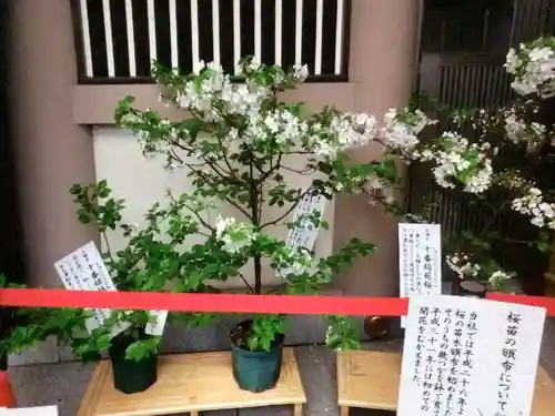 十番稲荷神社(東京都)