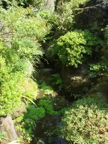 三室戸寺の庭園