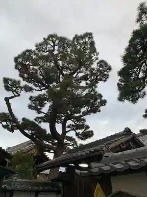 法安寺(大阪府)