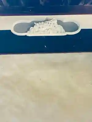 當麻寺　護念院の芸術