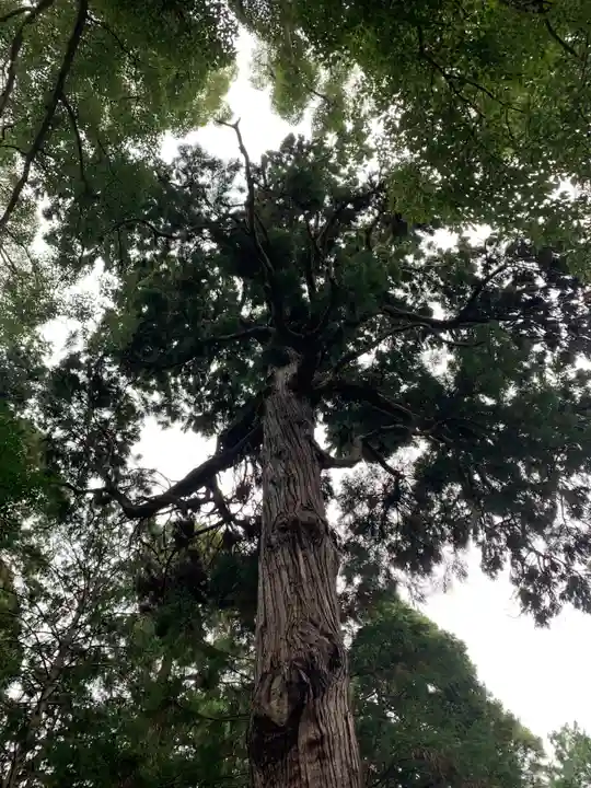 小野六所神社(千葉県)