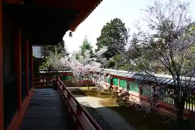 毘沙門堂門跡(京都府)