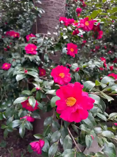 愛宕神社(宮城県)