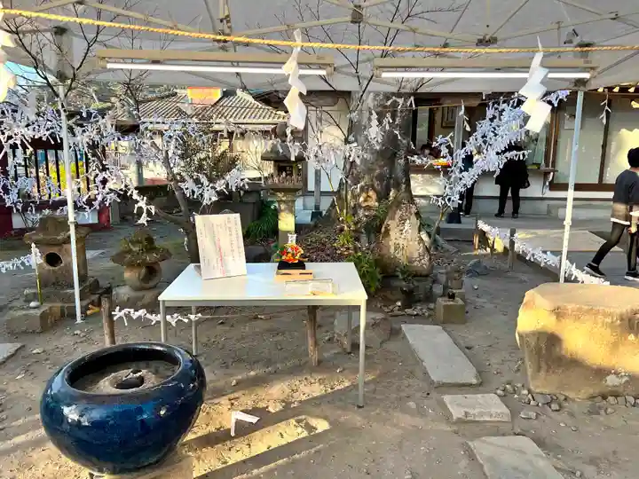 鹿児島神社(鹿児島県)