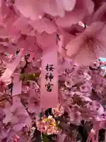 桜神宮の{uncategorized: "未分類", other: "その他", undefined: "問題あり", building: "その他建物", grave: "お墓", sacred_gate: "鳥居", guardian: "狛犬", statue: "像", buddha: "仏像", history: "歴史", nature: "自然", garden: "庭園", animal: "動物", pagoda: "塔", temizu: "手水舎", mountain_gate: "山門・神門", sanctuary: "本殿・本堂", subordinate: "末社・摂社", art: "芸術", scenery: "景色", jizo: "地蔵", ema: "絵馬", goshuin: "御朱印", omikuji: "おみくじ", items: "授与品その他", amulet: "お守り", goshuincho: "御朱印帳", eats: "食事", festival: "お祭り", votive_dance: "神楽", shichigosan: "七五三参", wedding: "結婚式", experience: "体験その他", initially: "初詣", around: "周辺", anti_infection: "感染症対策"}