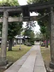 蓮根氷川神社の鳥居