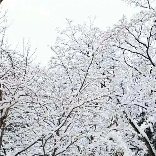 彌彦神社　(伊夜日子神社)の自然
