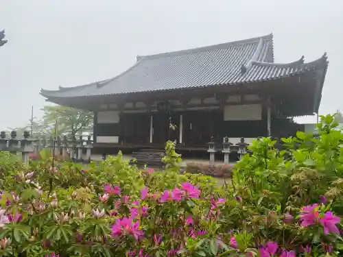 南法華寺（壷阪寺）の{uncategorized: "未分類", other: "その他", undefined: "問題あり", building: "その他建物", grave: "お墓", sacred_gate: "鳥居", guardian: "狛犬", statue: "像", buddha: "仏像", history: "歴史", nature: "自然", garden: "庭園", animal: "動物", pagoda: "塔", temizu: "手水舎", mountain_gate: "山門・神門", sanctuary: "本殿・本堂", subordinate: "末社・摂社", art: "芸術", scenery: "景色", jizo: "地蔵", ema: "絵馬", goshuin: "御朱印", omikuji: "おみくじ", items: "授与品その他", amulet: "お守り", goshuincho: "御朱印帳", eats: "食事", festival: "お祭り", votive_dance: "神楽", shichigosan: "七五三参", wedding: "結婚式", experience: "体験その他", initially: "初詣", around: "周辺", anti_infection: "感染症対策"}