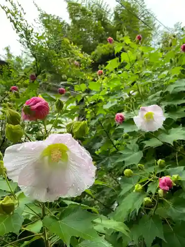 長岳寺(奈良県)