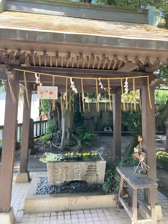 柏諏訪神社(千葉県)