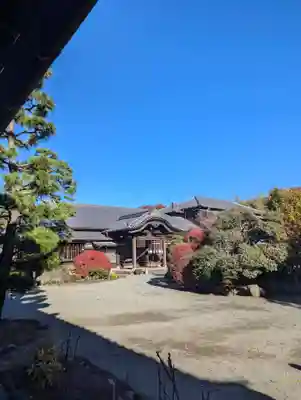 豪徳寺(東京都)