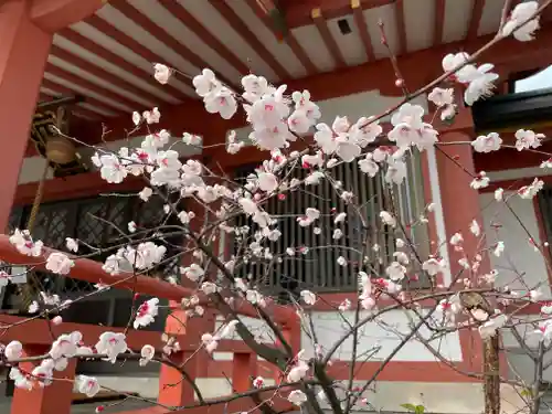 大物主神社の自然
