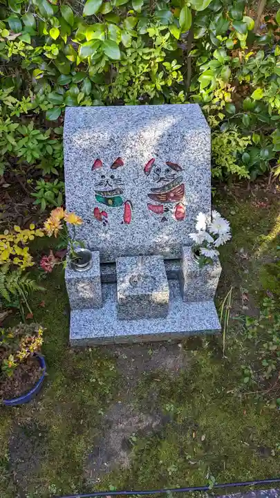 妙蓮寺(京都府)