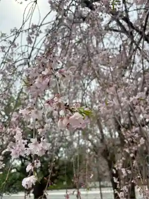 富山縣護國神社(富山県)