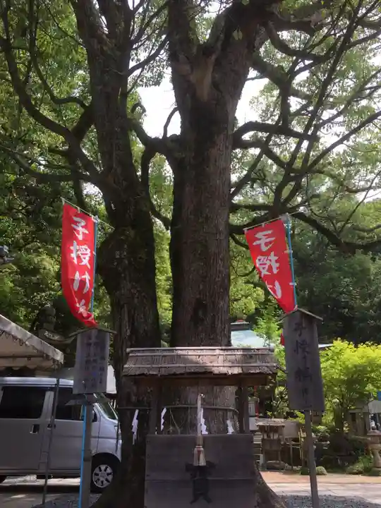 由加神社(和気由加神社)(岡山県)