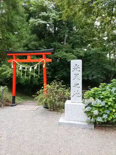 鷲宮神社(埼玉県)