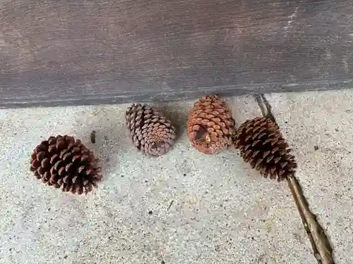 忌部神社(徳島県)