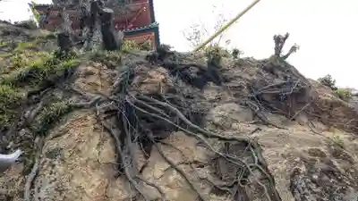 西光寺奥之院 誓願之塔の自然