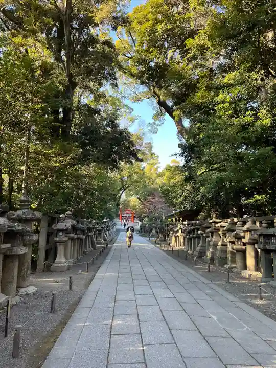 石清水八幡宮(京都府)