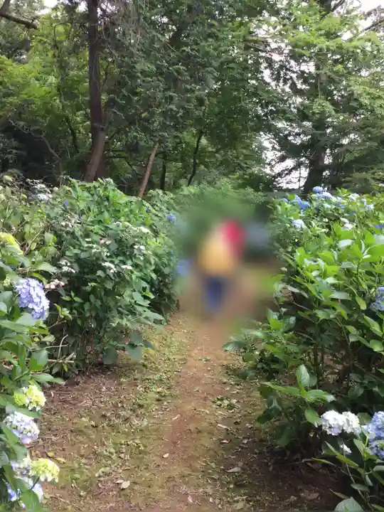 大宝八幡宮の庭園