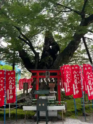 秩父今宮神社(埼玉県)