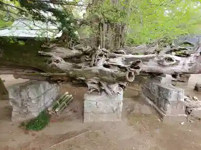 野木神社のその他建物