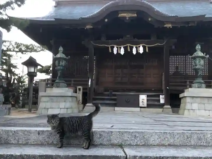 琴彈八幡宮の動物