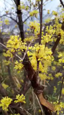 長建寺(京都府)