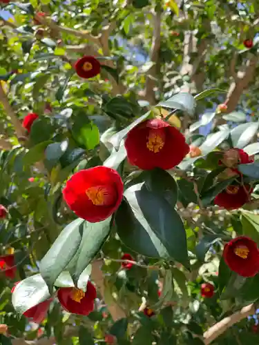 藤森神社の自然