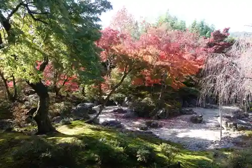 宝筐院の庭園