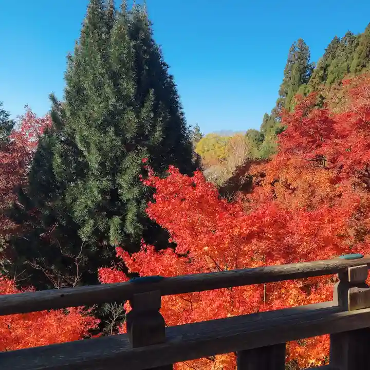 播州清水寺の自然