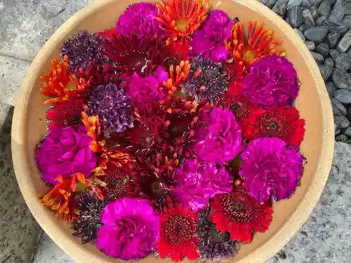 彌都加伎神社(三重県)