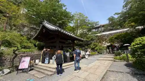 岡寺（龍蓋寺）の{uncategorized: "未分類", other: "その他", undefined: "問題あり", building: "その他建物", grave: "お墓", sacred_gate: "鳥居", guardian: "狛犬", statue: "像", buddha: "仏像", history: "歴史", nature: "自然", garden: "庭園", animal: "動物", pagoda: "塔", temizu: "手水舎", mountain_gate: "山門・神門", sanctuary: "本殿・本堂", subordinate: "末社・摂社", art: "芸術", scenery: "景色", jizo: "地蔵", ema: "絵馬", goshuin: "御朱印", omikuji: "おみくじ", items: "授与品その他", amulet: "お守り", goshuincho: "御朱印帳", eats: "食事", festival: "お祭り", votive_dance: "神楽", shichigosan: "七五三参", wedding: "結婚式", experience: "体験その他", initially: "初詣", around: "周辺", anti_infection: "感染症対策"}